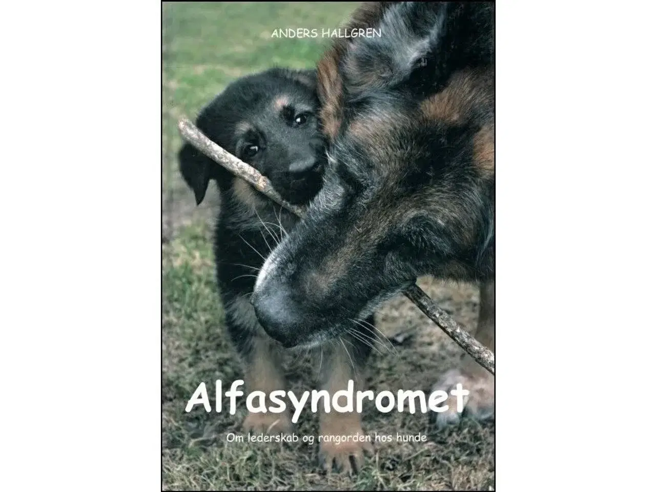Billede 1 - Alfasyndromet