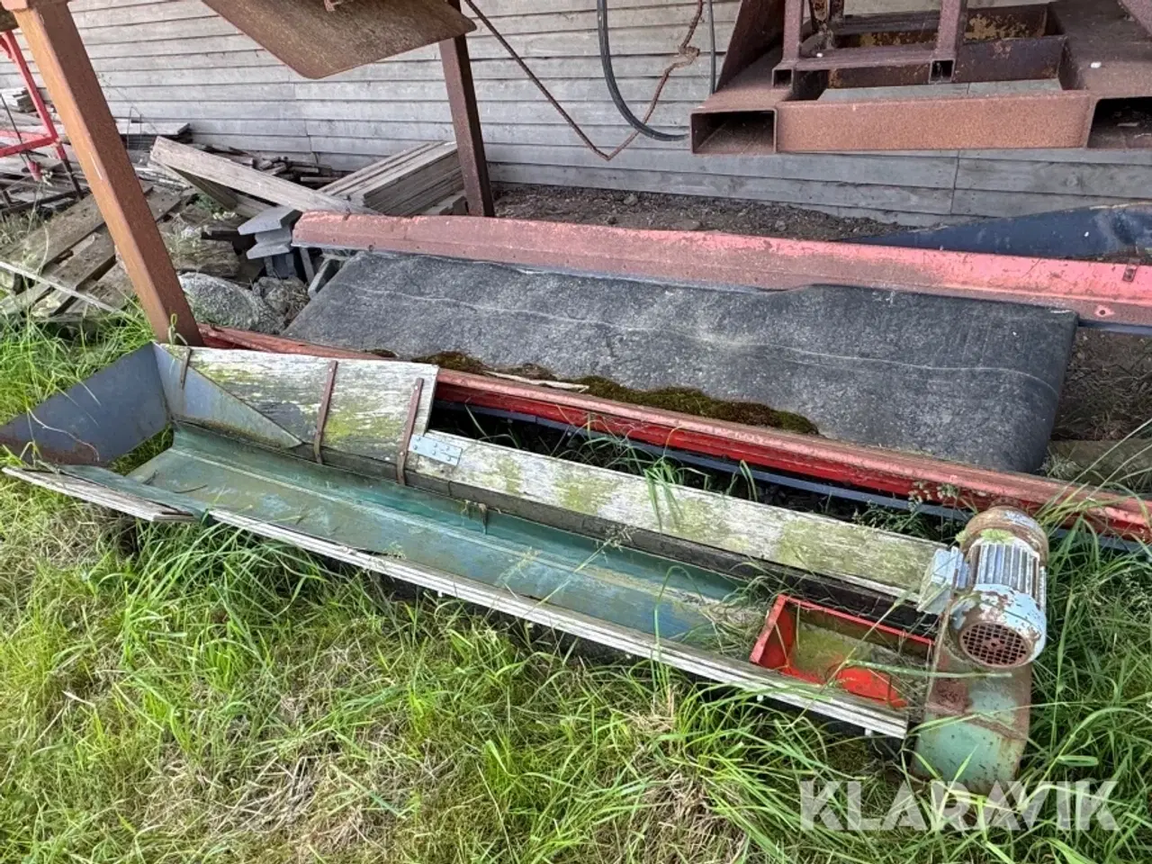 Billede 9 - Sellerirenser Herborg
