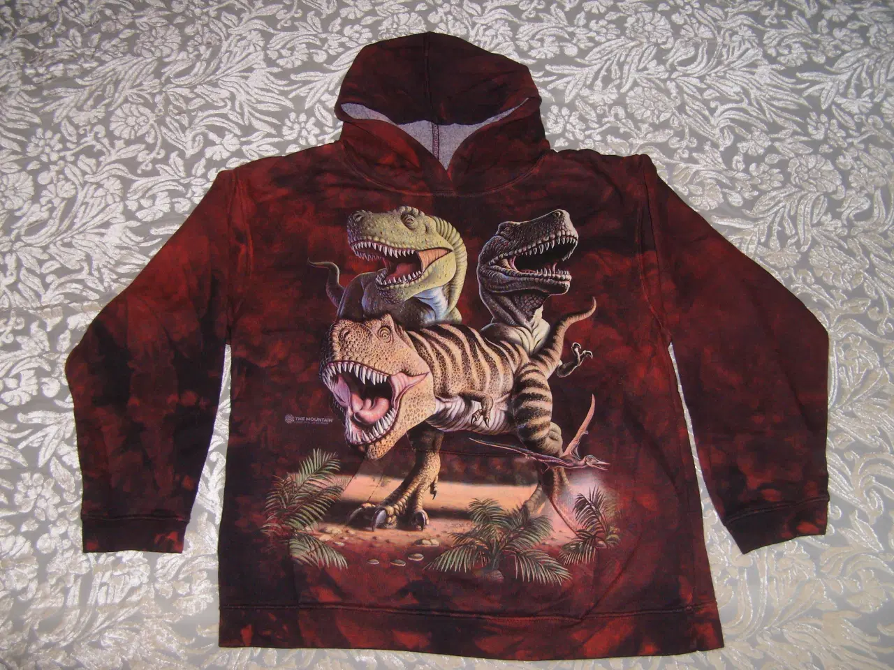 Billede 1 - Store børne/teenager dino hoodies fra The Mountain