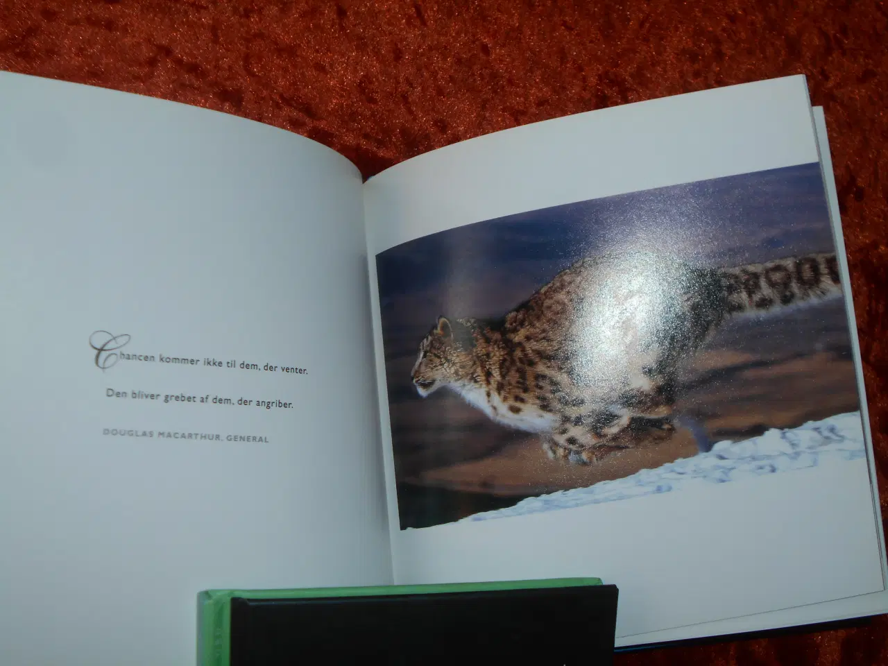 Billede 2 - Mod, Inspiration & Motivation m.fl,