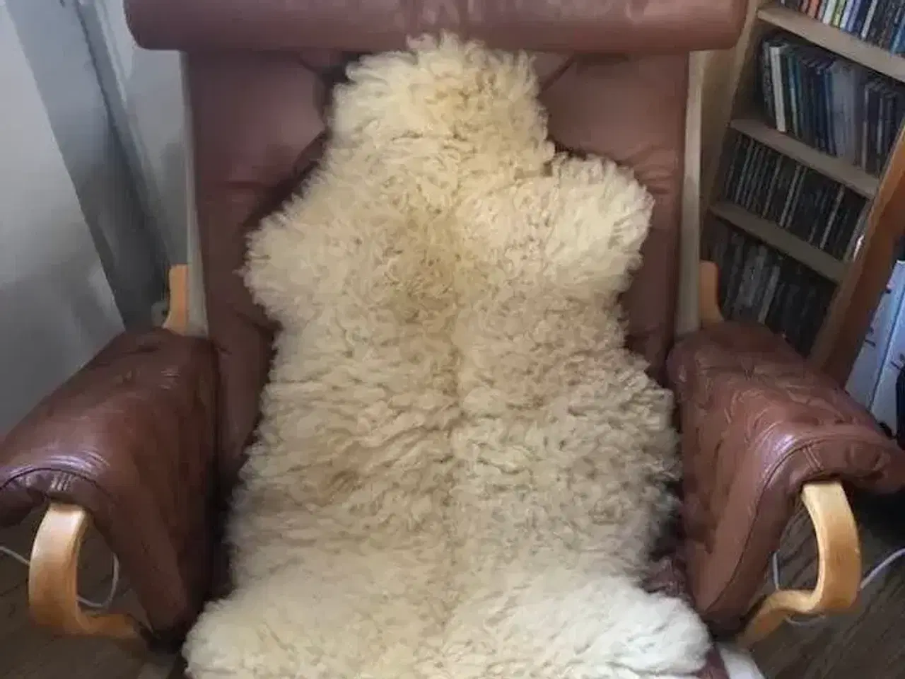 Billede 1 - Dux Pernilla 69