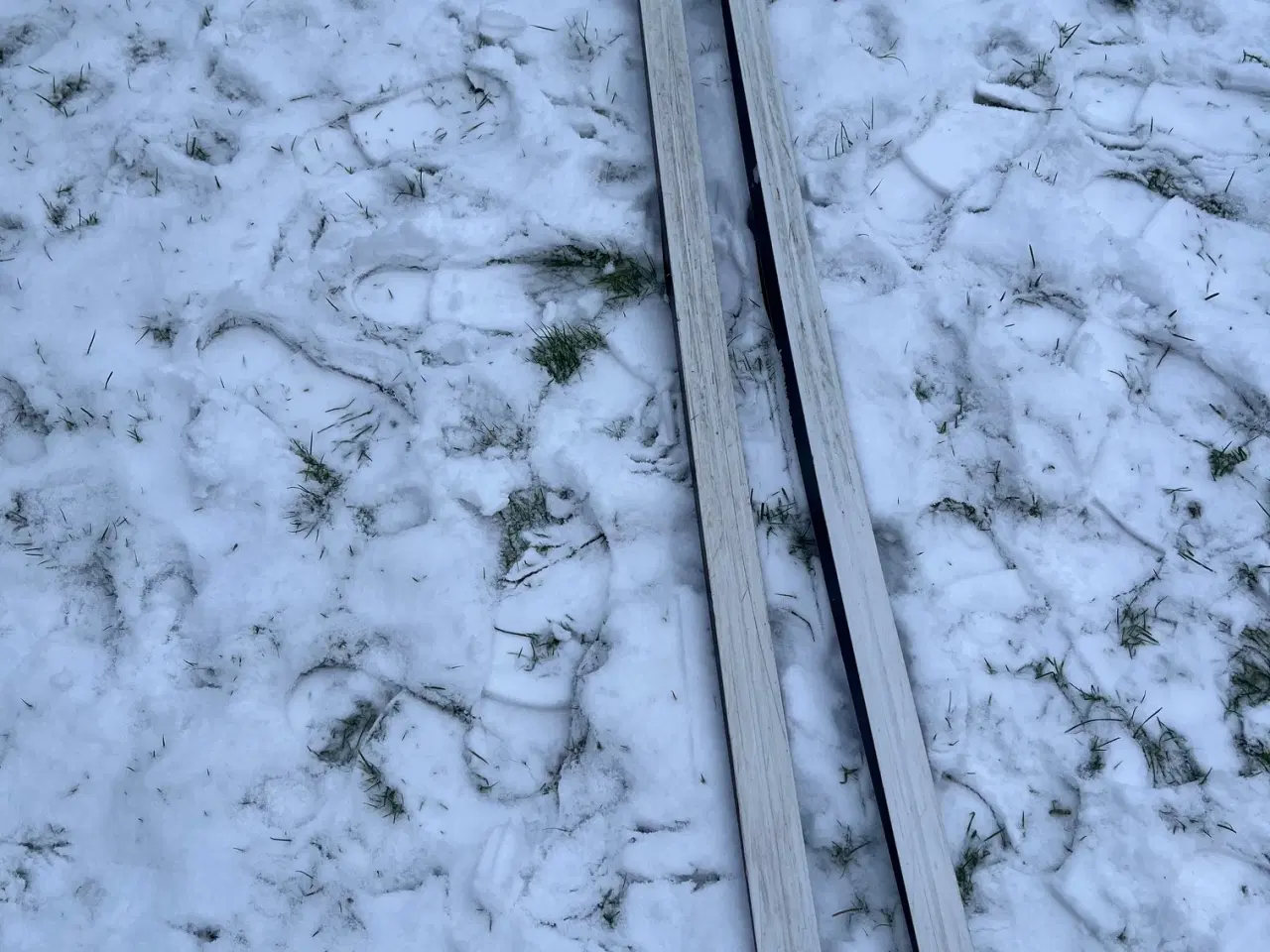 Billede 3 - Langrendsski med stave