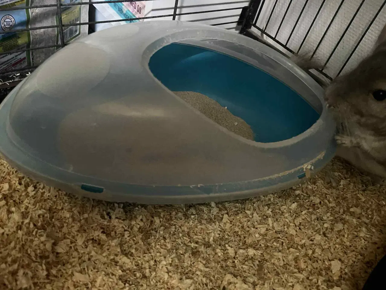 Billede 6 - Chinchilla med bur