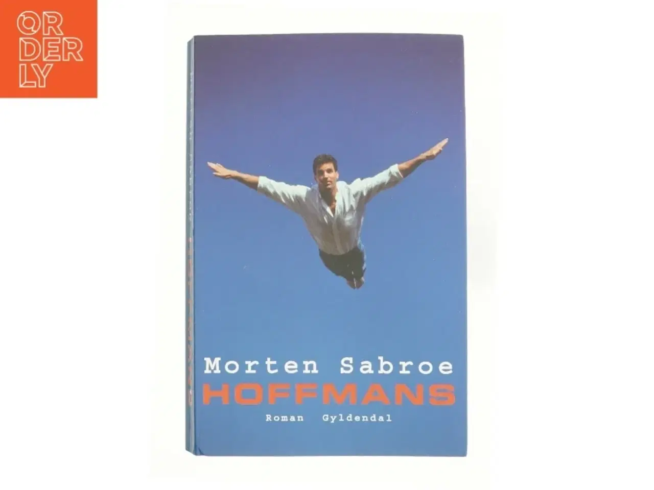 Billede 1 - Hoffmans : roman af Morten Sabroe (Bog)