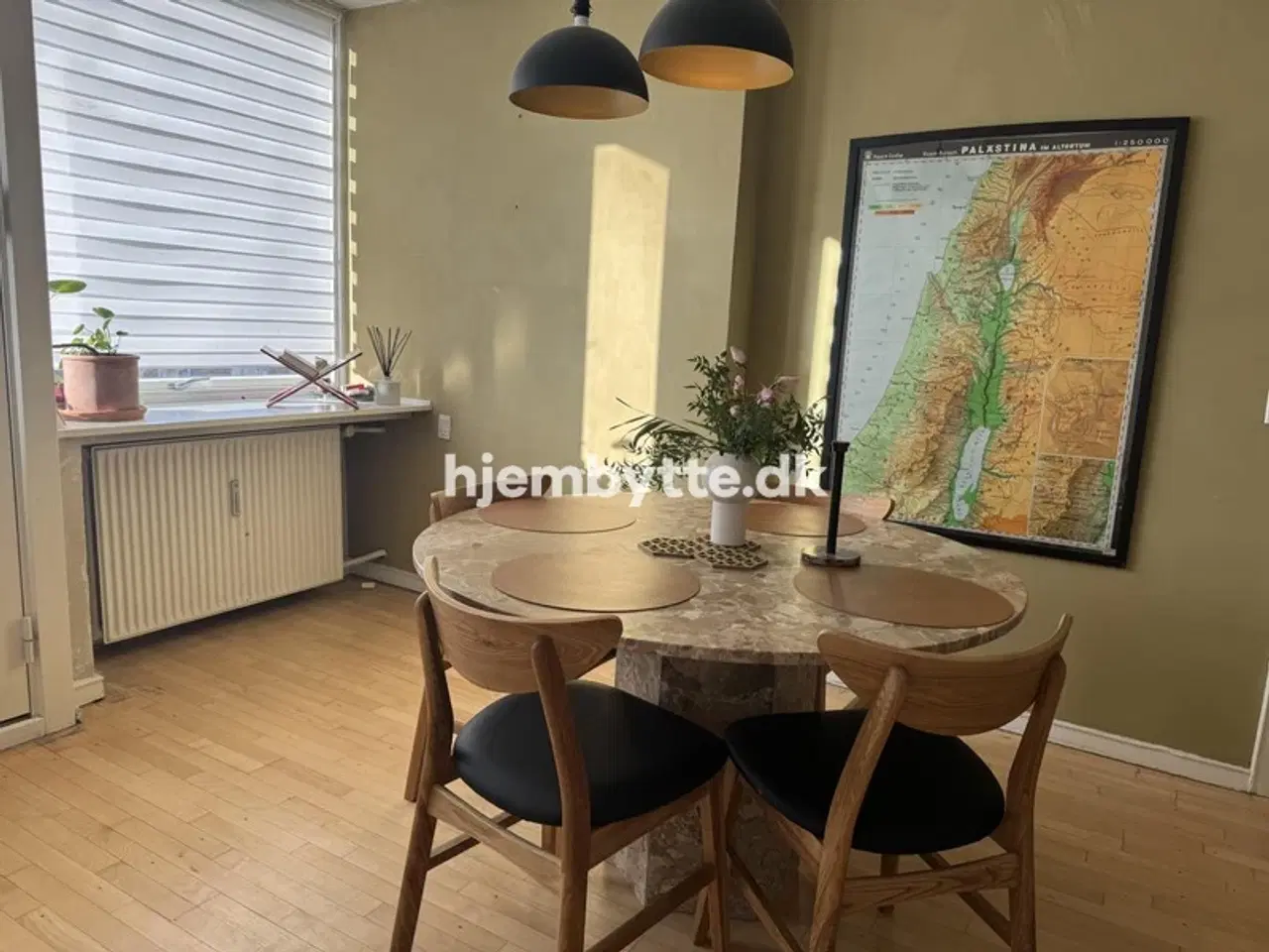 Billede 14 - Hjembytte - Buskager