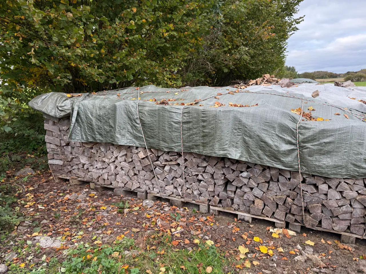 Billede 1 - Bøgebrænde sælges. Fyringsklart