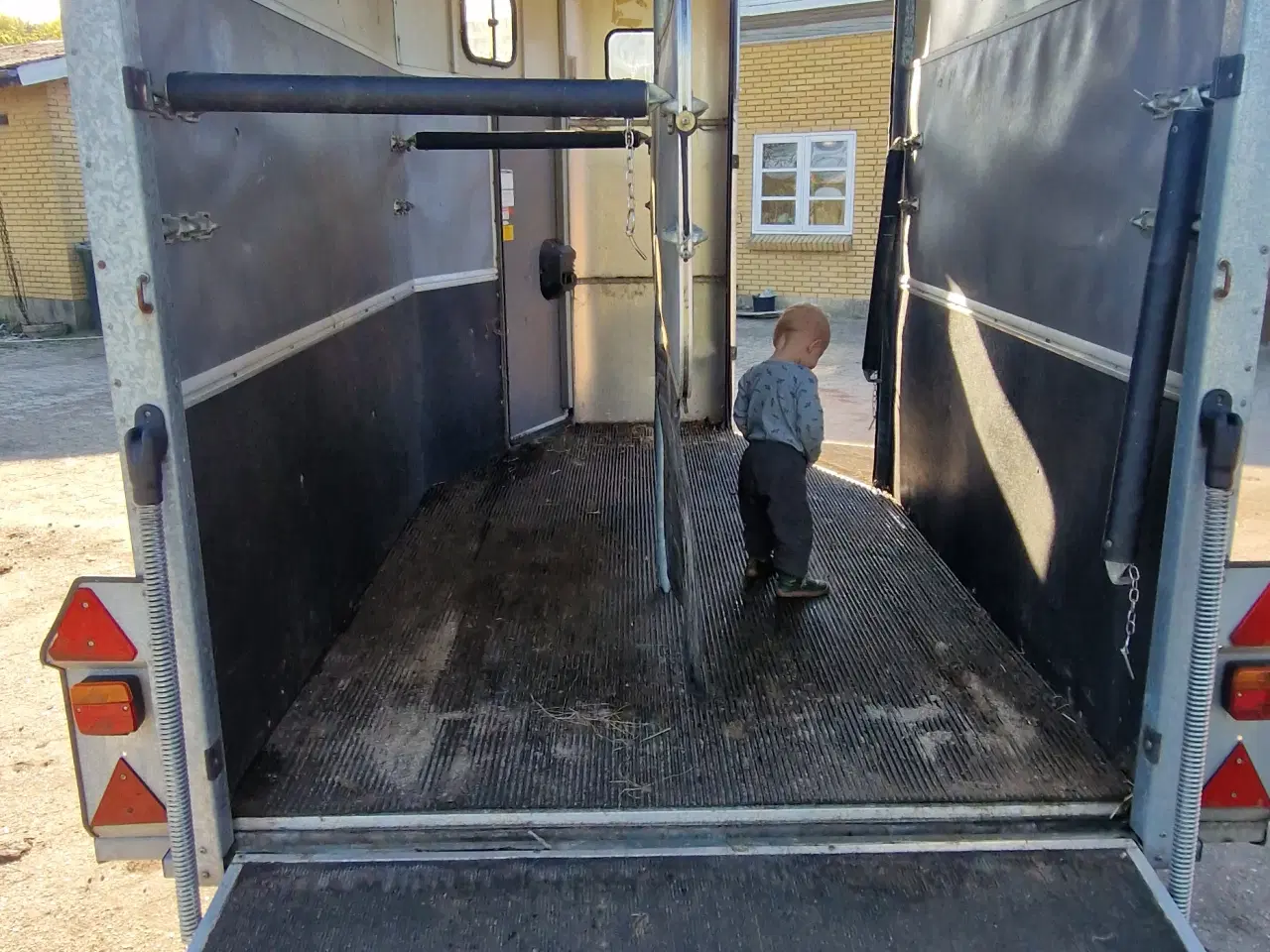 Billede 12 -  Stor Ifor Williams Hestetrailer m/ frontudgang