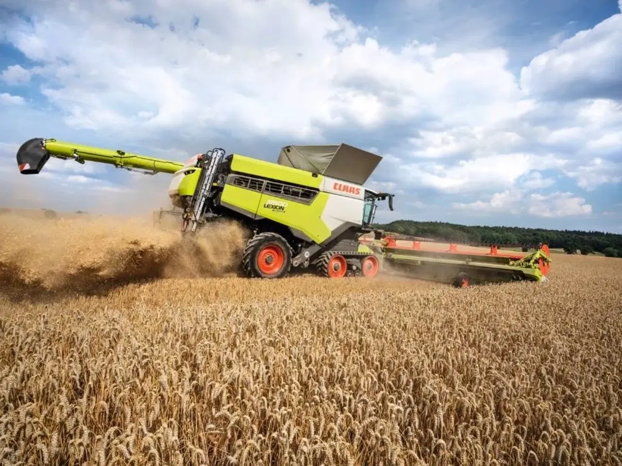 Billede 7 - - - - CLAAS CLAAS CONVIO 930