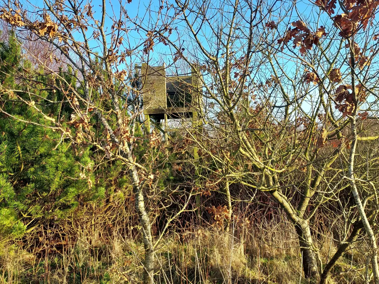 Billede 2 - Skydetårn 