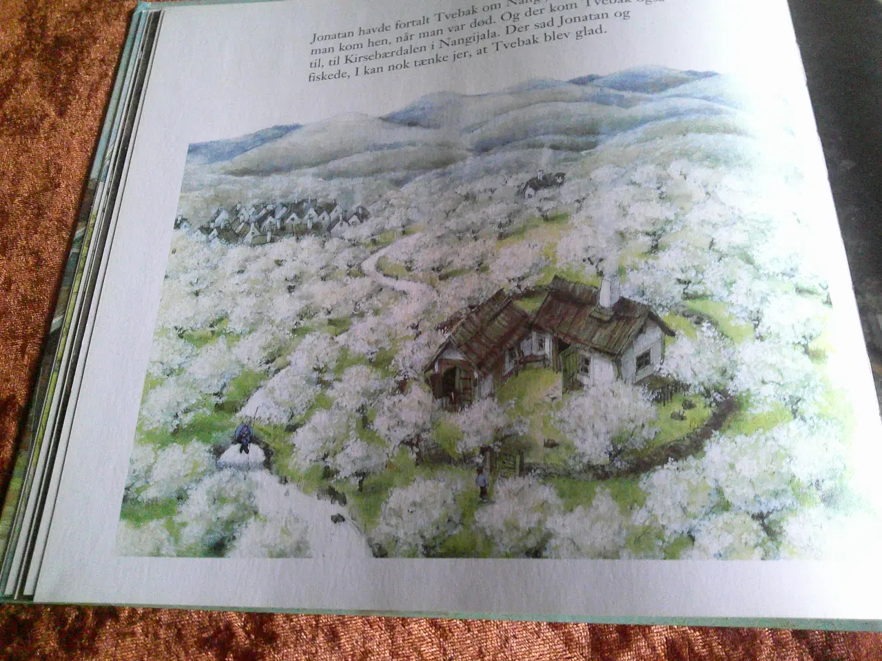 Billede 6 - Eventyrrejsen - fra Junibakken til Nangilima, 