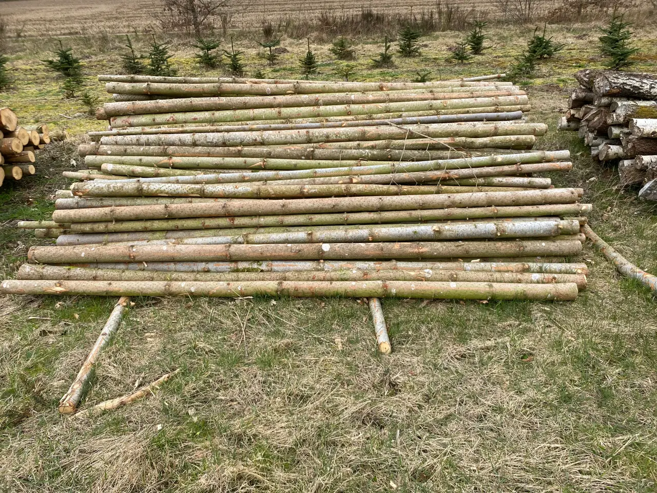 Billede 2 - Granrafter med bark.