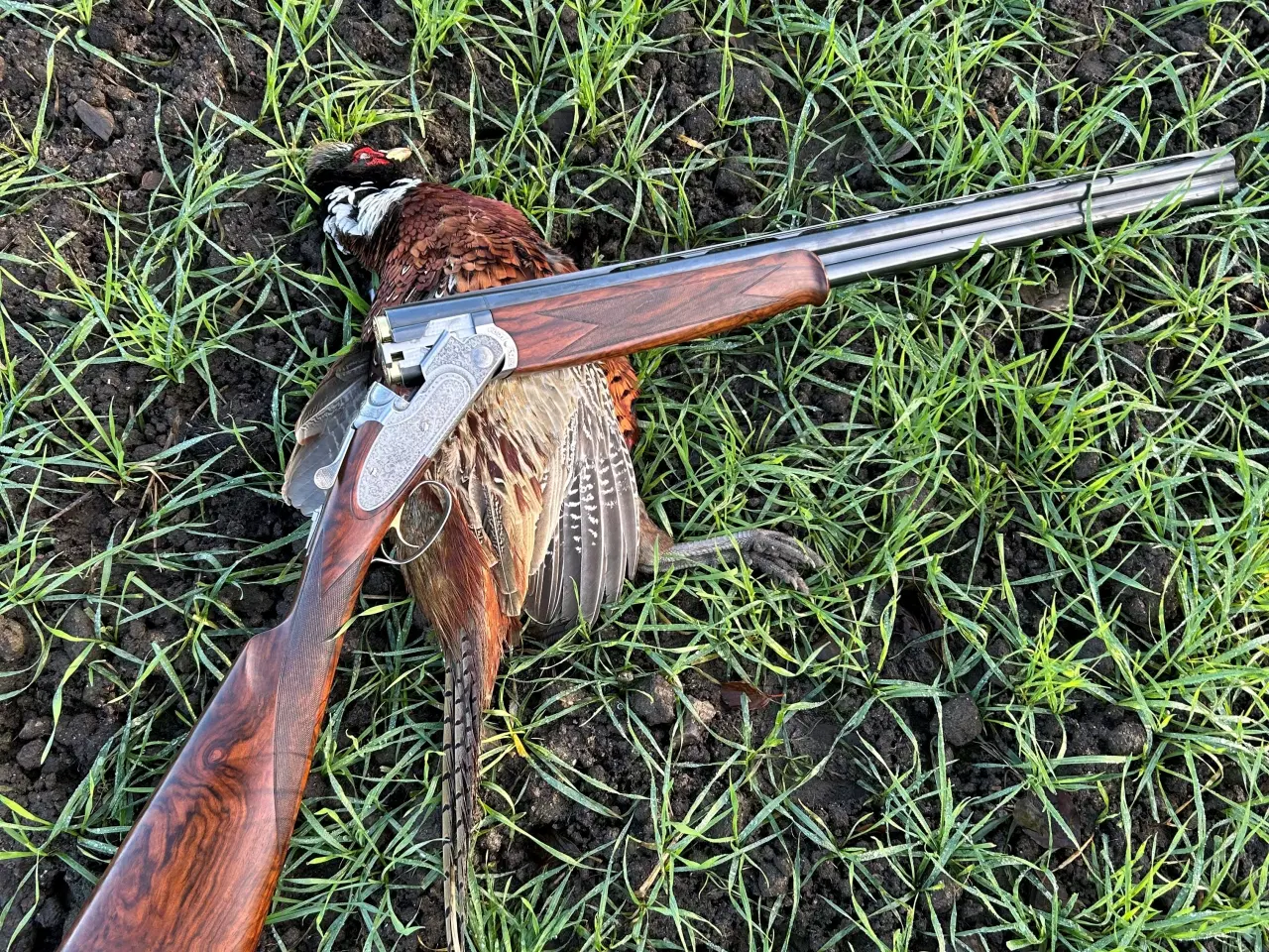 Billede 1 - Beretta 687 EELL Diamond Pigeon – Eksklusivt Over/