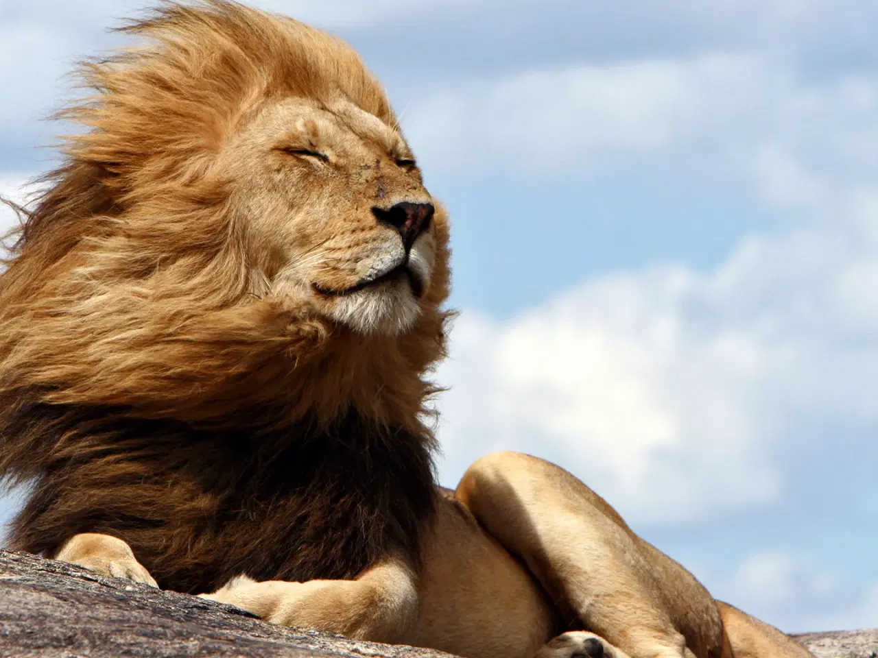 Billede 1 - Søger riffelpibe i kaliber 7x57