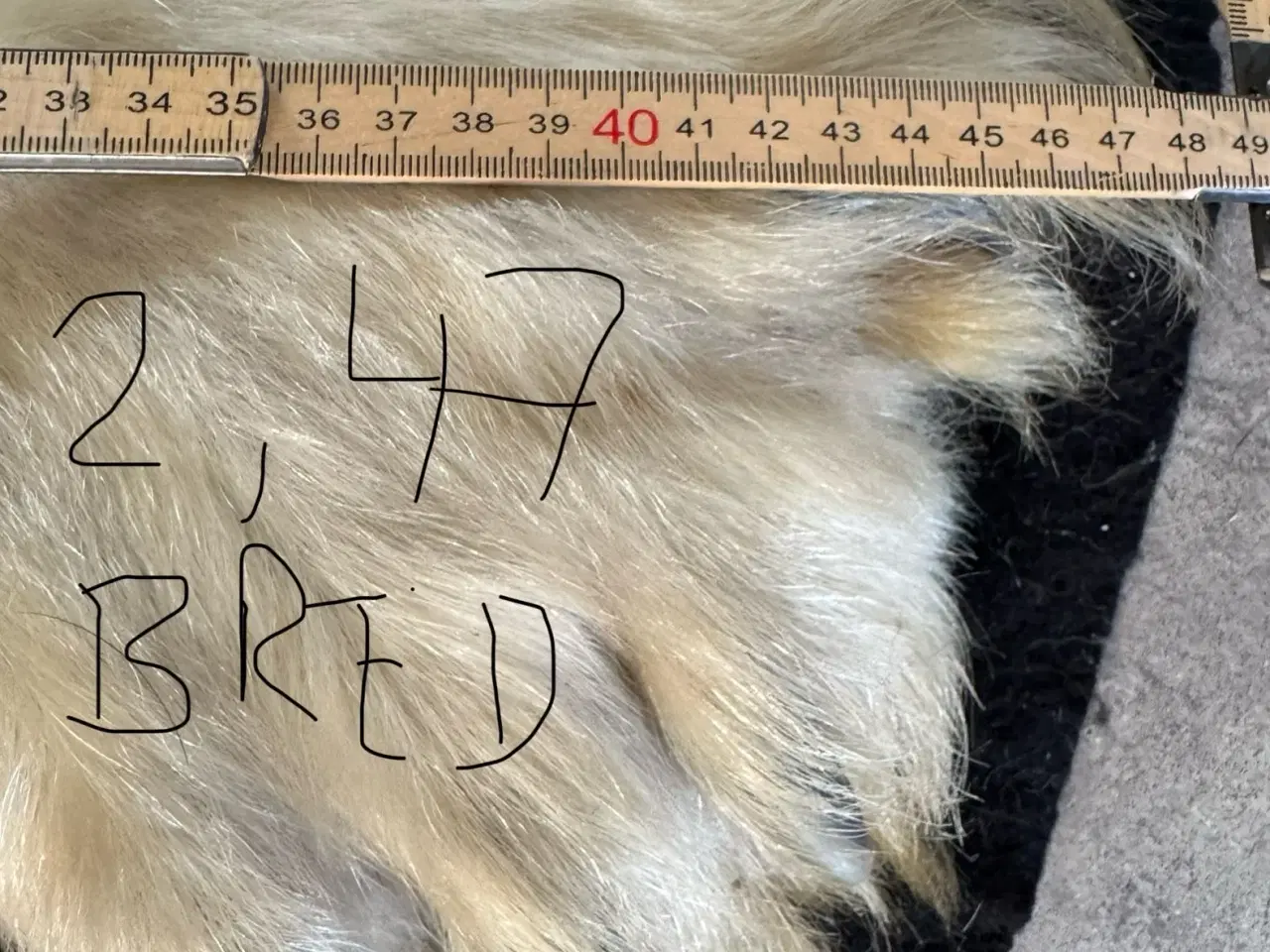 Billede 8 - Isbjørneskind