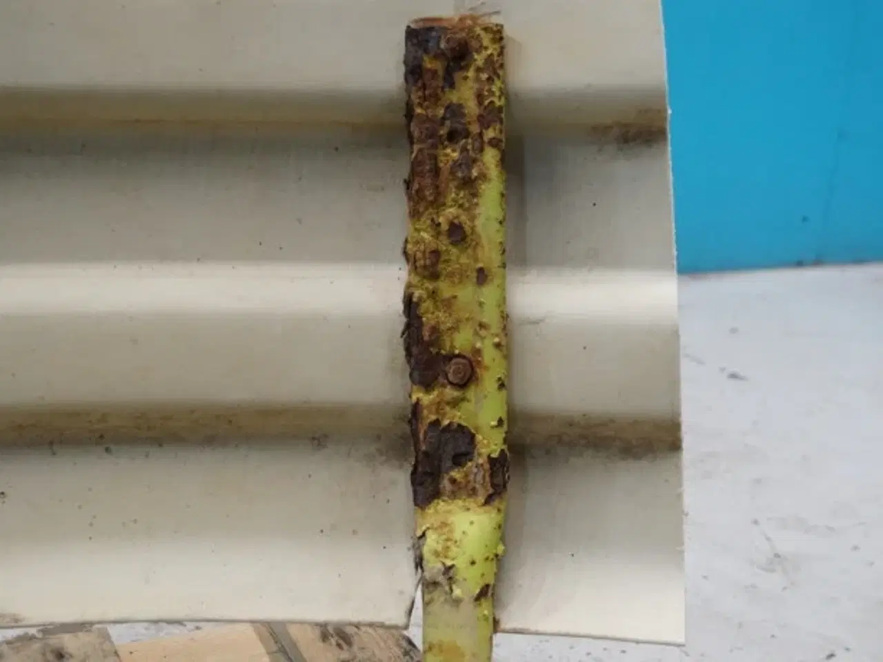 Billede 12 - Claas Targo K70 V.B. Hjulskærm 3270990