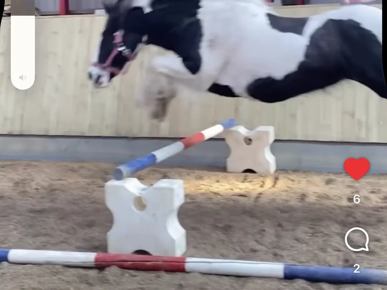 Billede 1 - Lækker kone hest