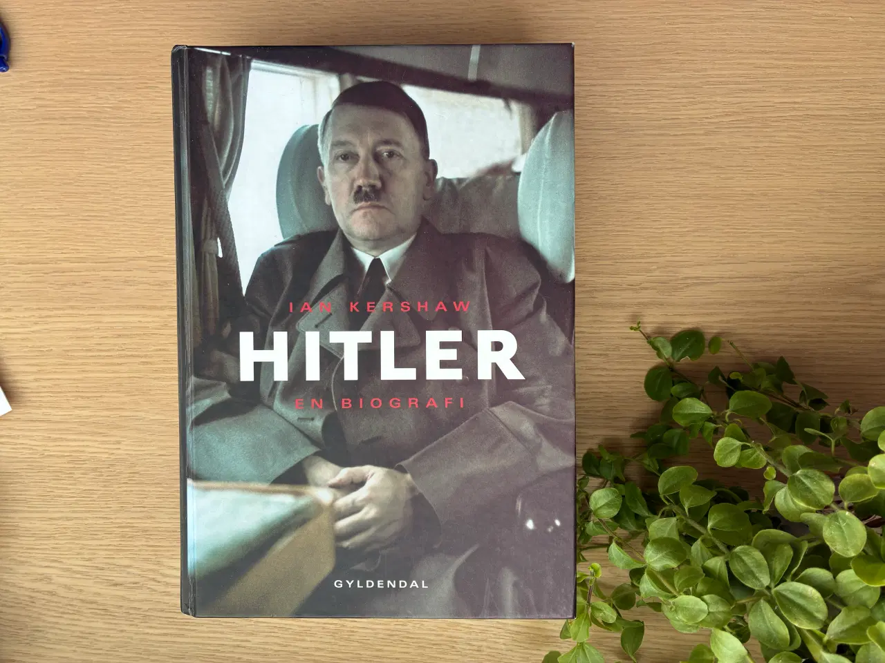 Billede 1 - HITLER  -  En Biografi  -  Af IAN KERSHAW