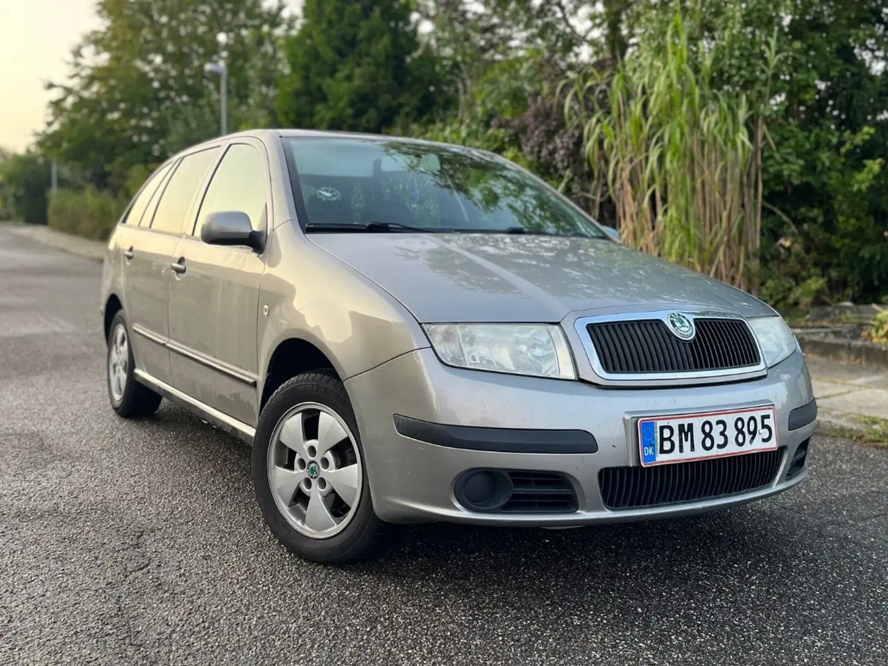 Billede 9 - Skoda Fabia 1.9 TDi Ambiente Combi