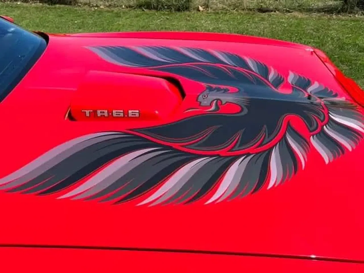 Billede 5 - Trans Am