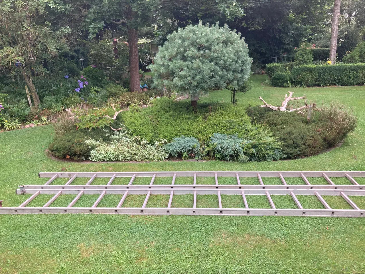 Billede 2 - Alu stiger
