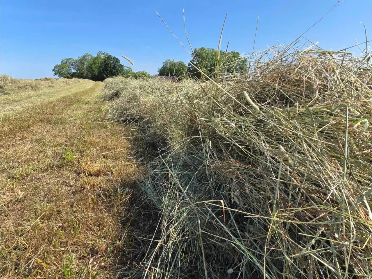 Billede 3 - Wrap til heste, køer og får