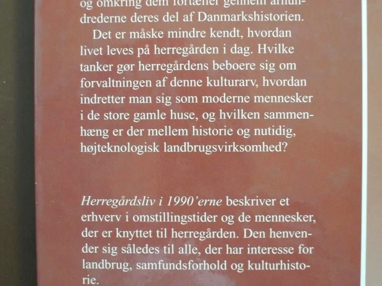 Billede 3 - herregårdsliv i 1990'erne, af peter bavnshøj og ki