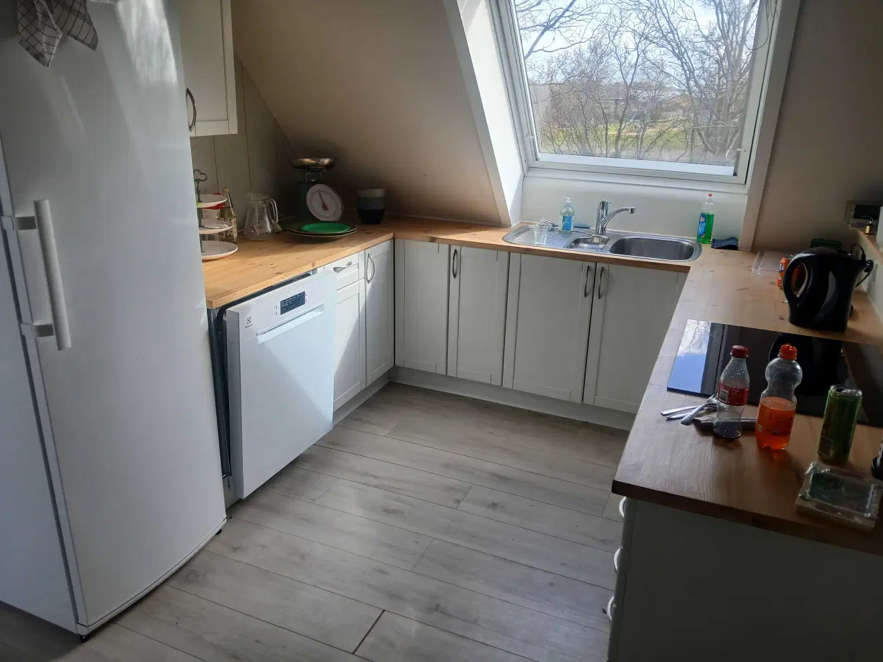 Billede 6 - Sal, behandling, work shop