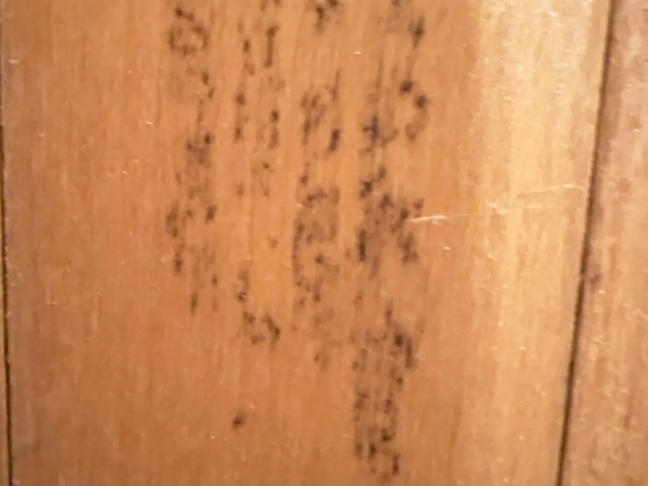 Billede 9 - Vintage klapstole i massivt bøgetræ – klassisk sve