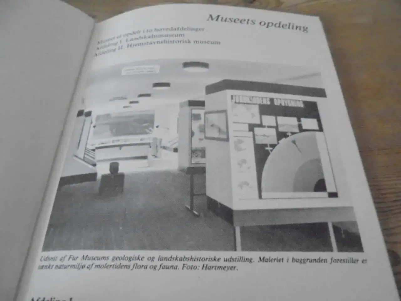 Billede 3 - Fur museum – udgivelse fra ca. 1980