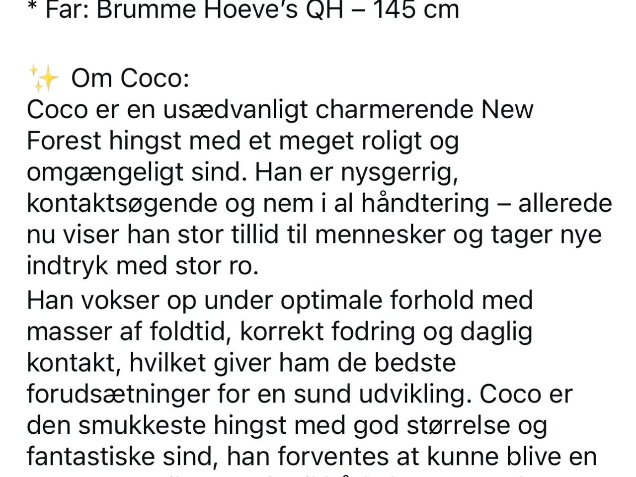 Billede 1 - New forest føl
