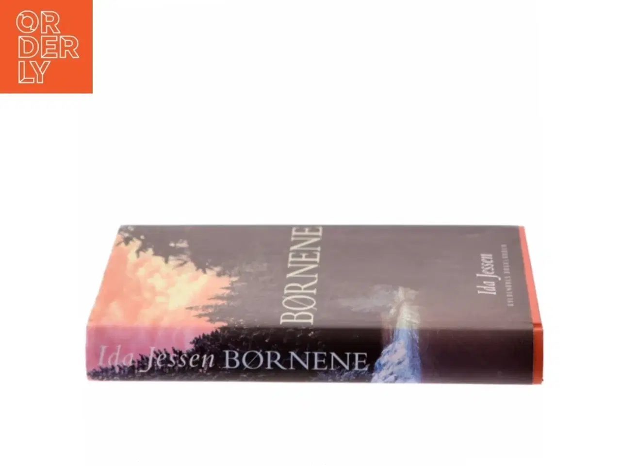 Billede 2 - Børnene af Ida Jessen (Bog)