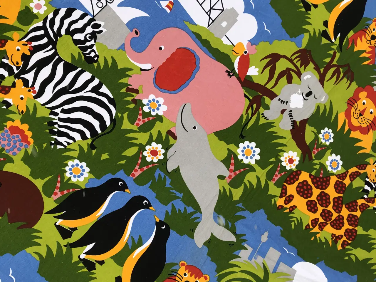 Billede 4 - TARONGA ZOO