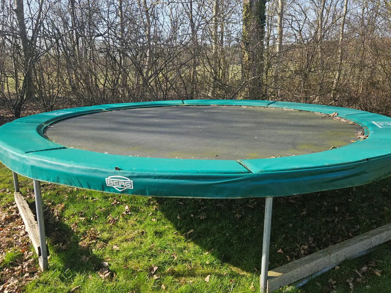 Billede 1 - Trampolin til haven