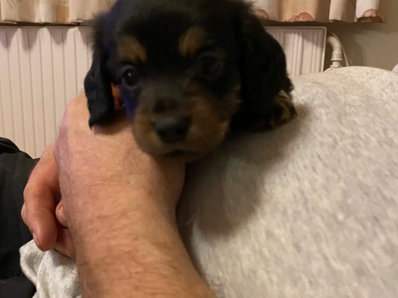 Billede 5 - 1 lille dreng tilbage 