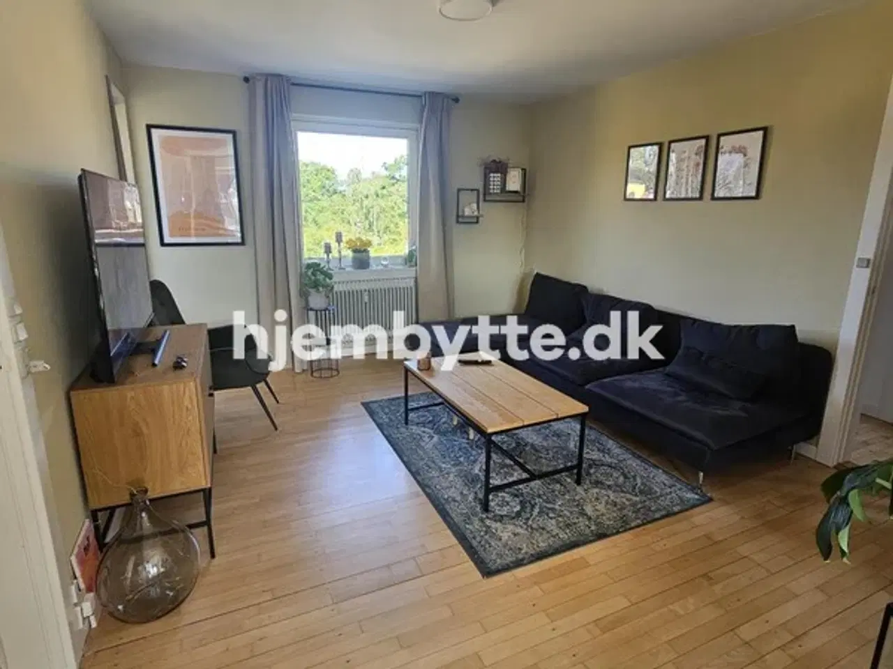 Billede 3 - Hjembytte - Urtehaven