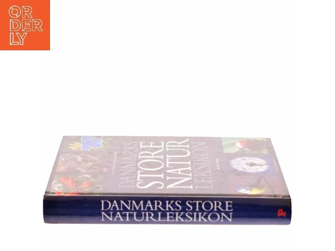 Billede 2 - Danmarks store naturleksikon af Tommy Dybbro (Bog)