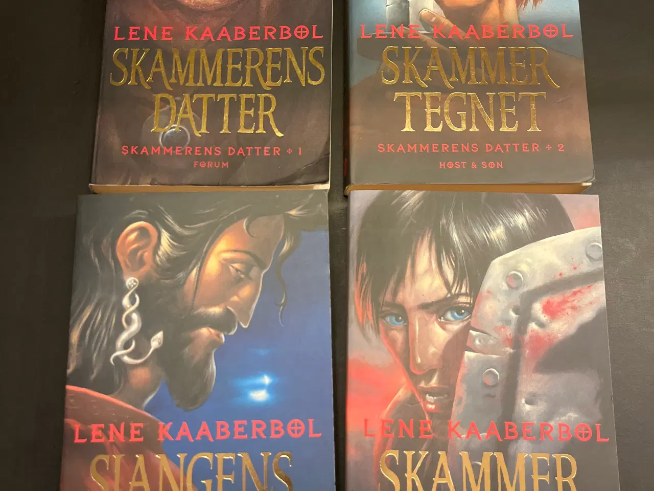 Billede 1 - Skammerens datter 1-4