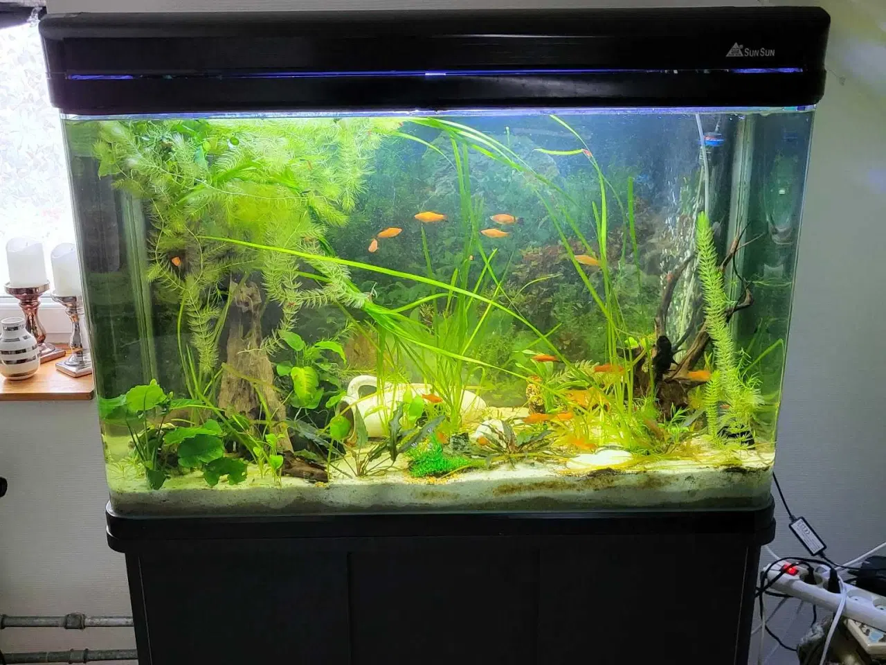 Billede 3 - Akvarie med pumpe og fisk Ca 300l