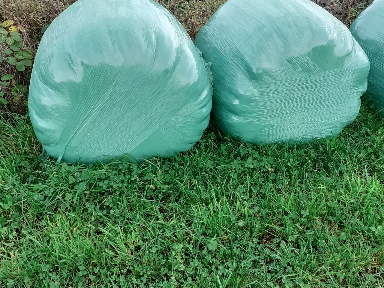 Billede 1 - Wrap i midiballer