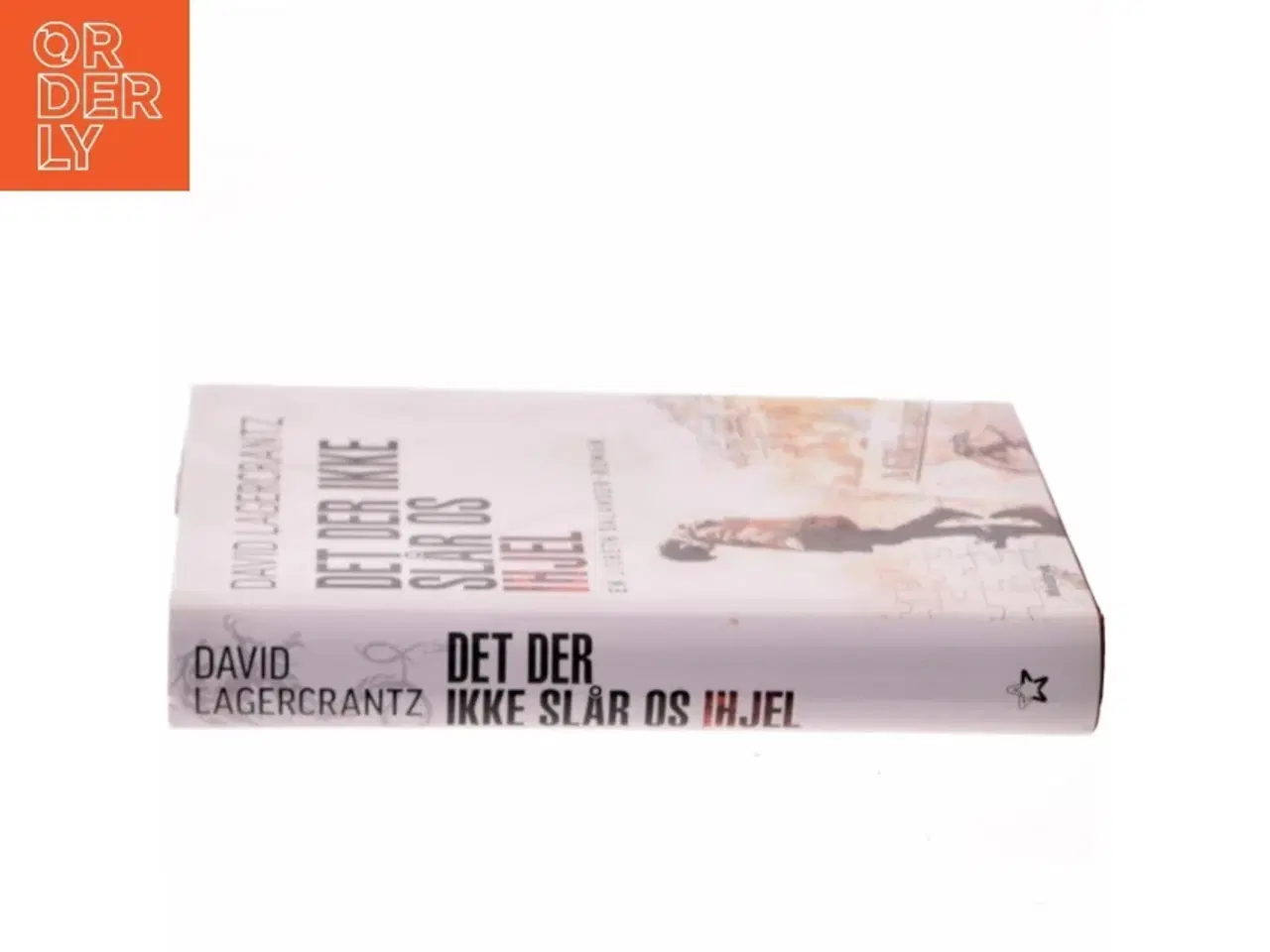 Billede 2 - Det der ikke slår os ihjel af David Lagercrantz (Bog)