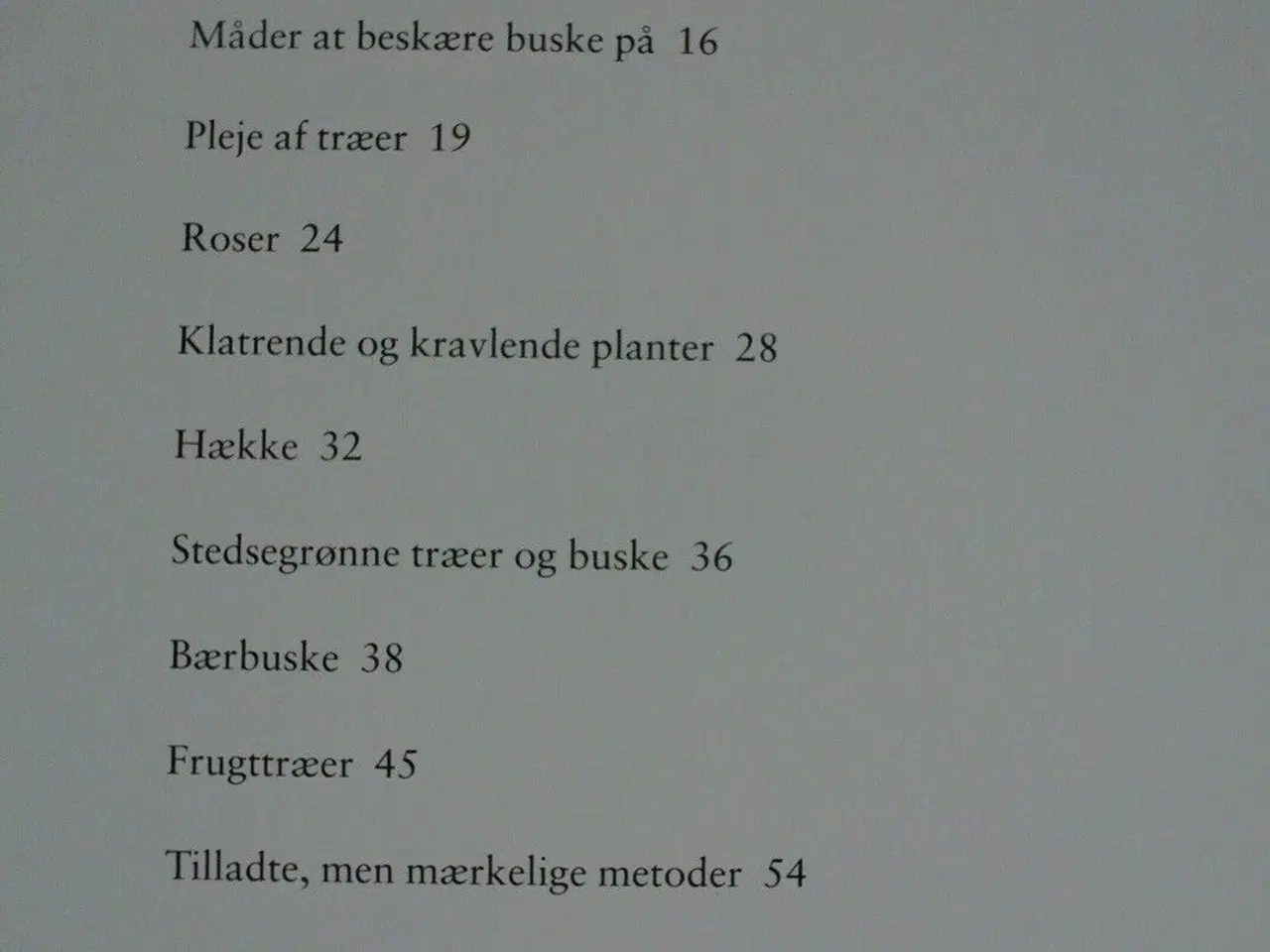 Billede 2 - beskæring af havens træer og buske, af johanna lin