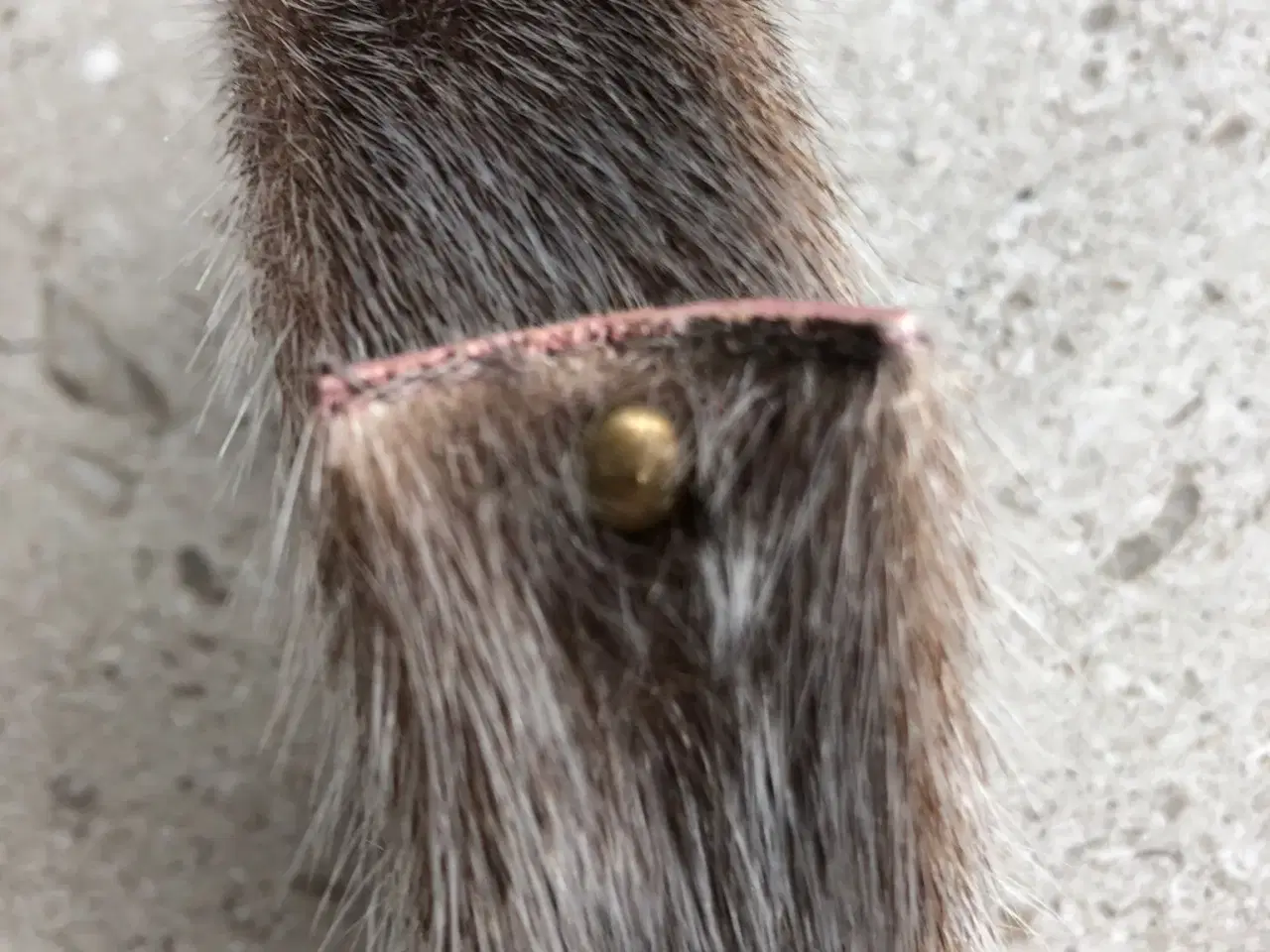 Billede 3 - Armbånd af pels