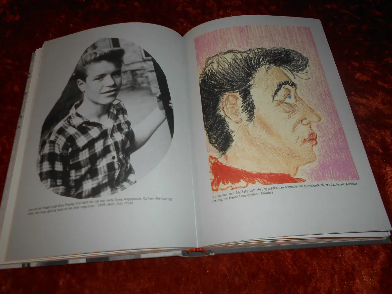 Billede 2 - Kim Larsen - mine unge år, Jens Andersen,