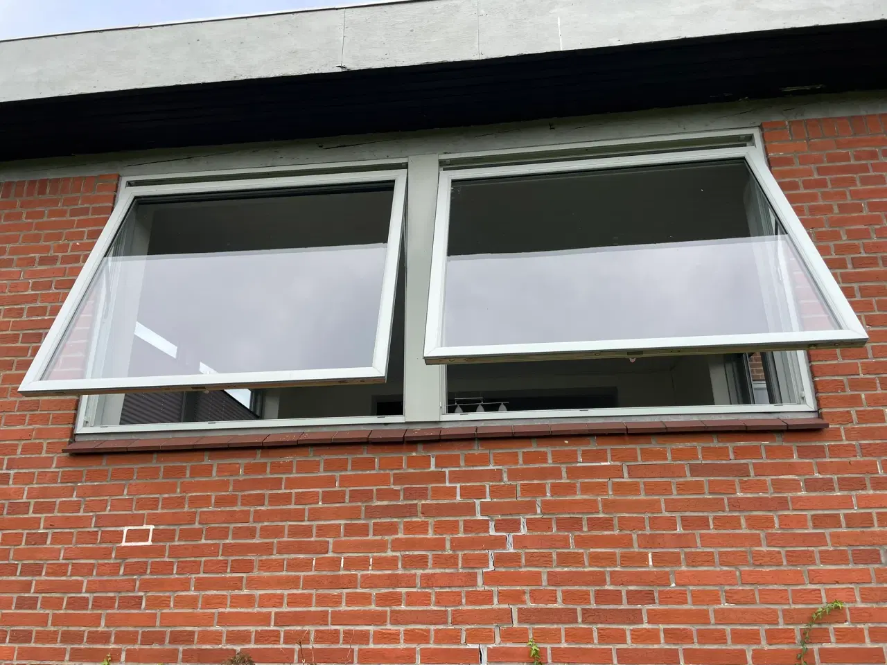 Billede 3 - 22 vinduer træ/alu & 3 døre (se billede)