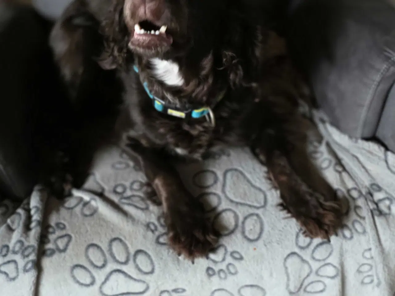 Billede 1 - Cooker blanding 