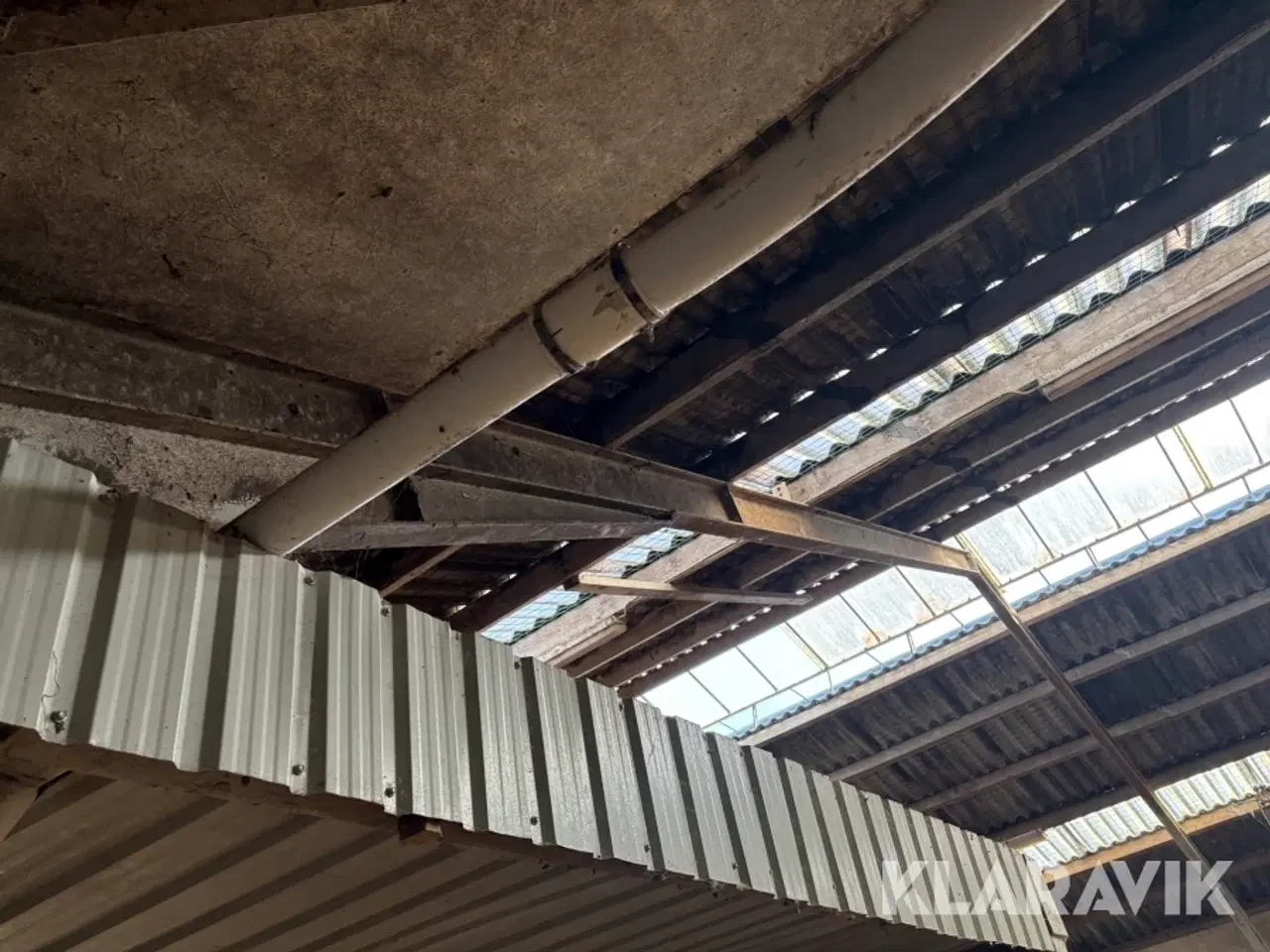 Billede 7 - Fodersnegl