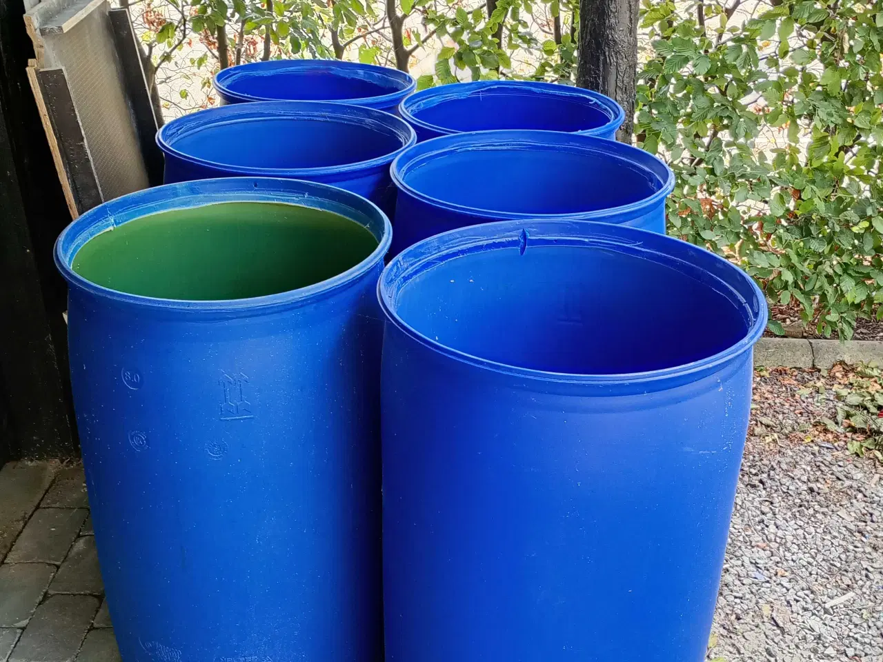 Billede 1 - Plast tønder gratis