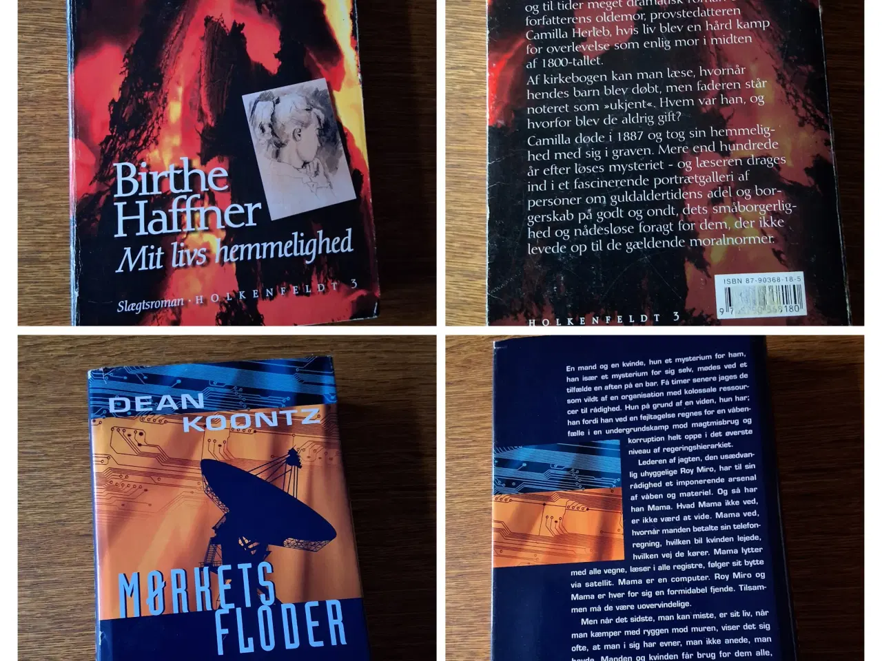 Billede 6 - BogUDsalg  5kr/stk. Samlet køb kan sendes. 