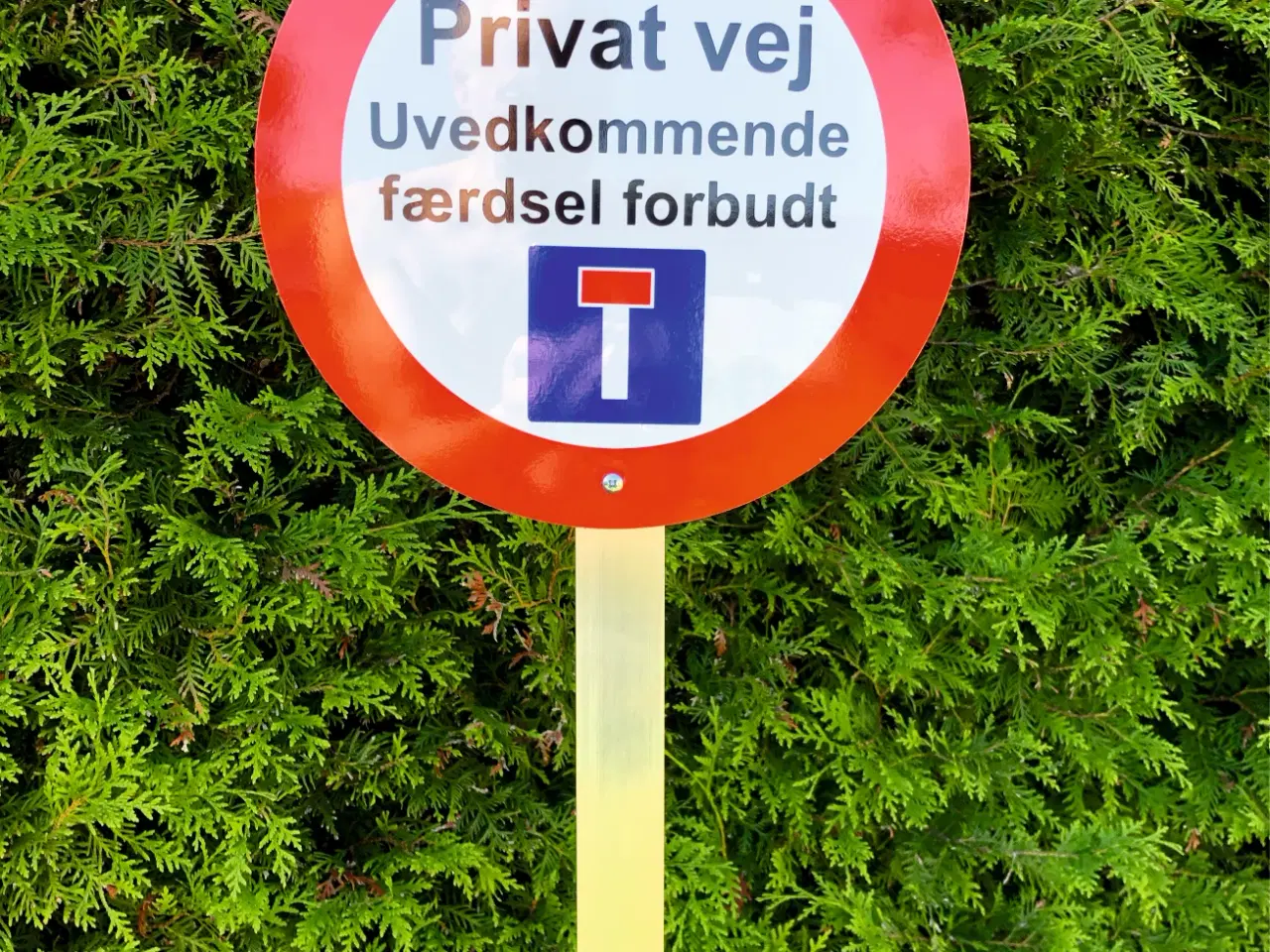Billede 8 - Skilt 20 km