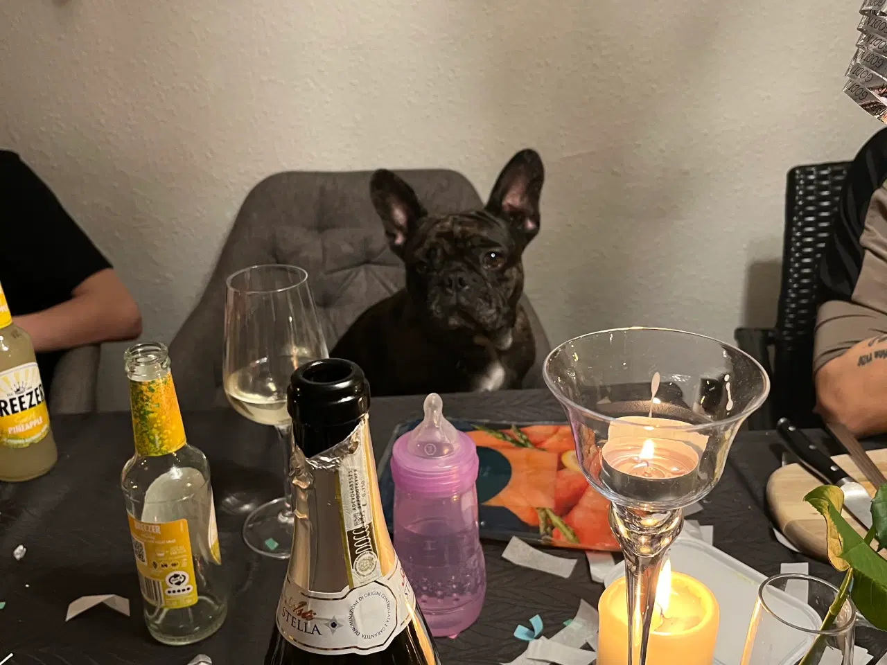 Billede 6 - Fransk bulldog søges 